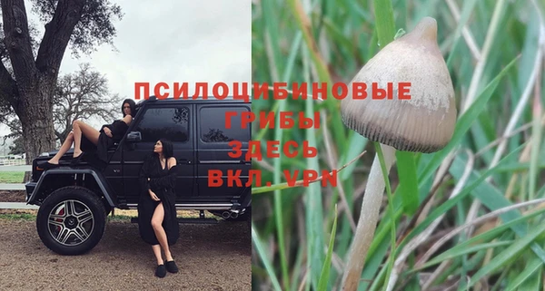 ешки Покачи